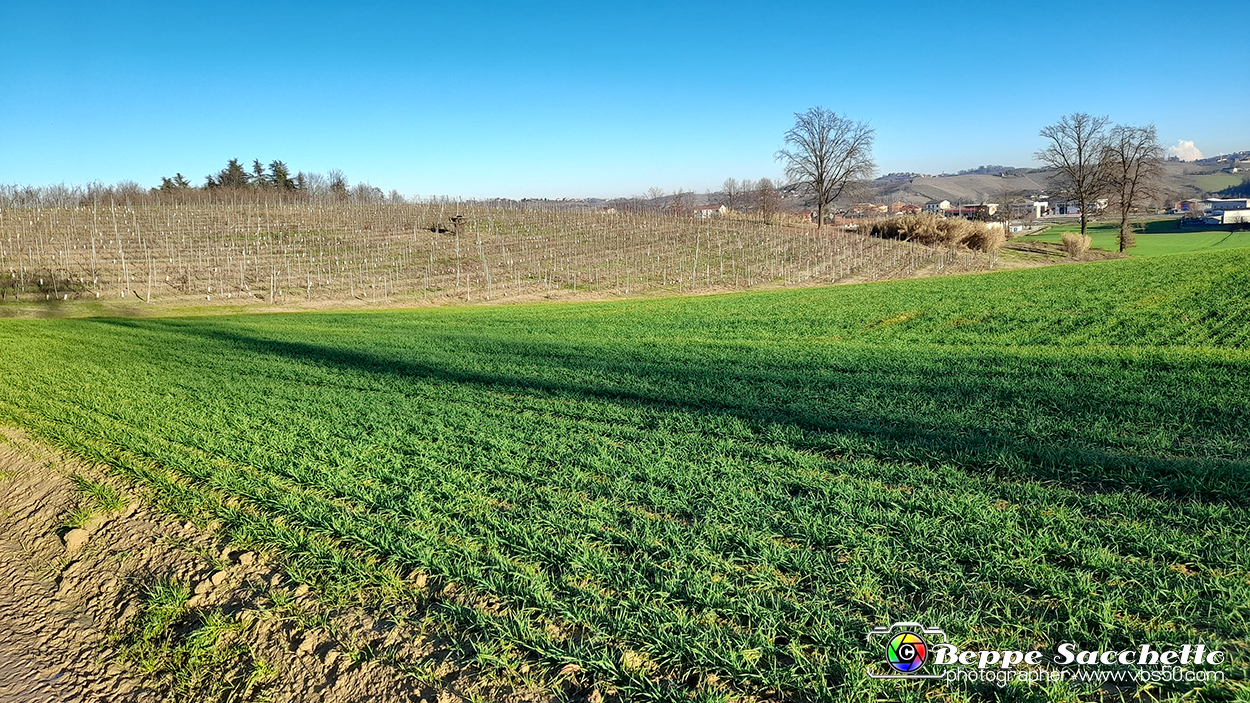 20230109_154347 - Dalla terra... il grano.jpg